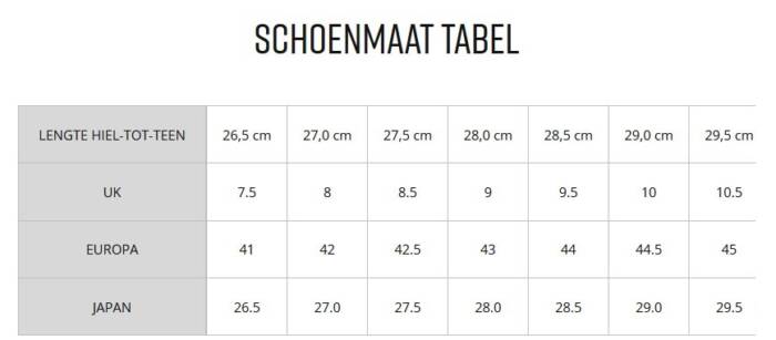MIZUNO WAVE EXCEED COURT CC - ODYSSEY GRAY - Afbeelding 3